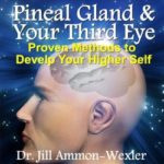 Pineal Gland Your Third Eye